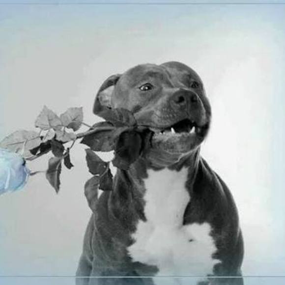 Meet your Posher, Keith - Picture 1 of 1